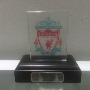 13466307_871138993029903_1907643098028846606_n