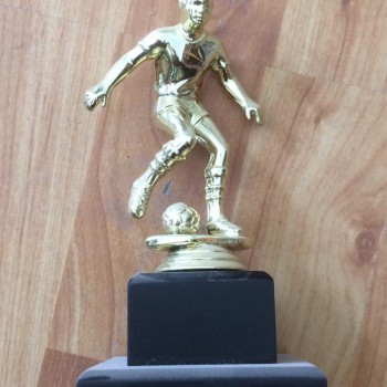 15056454_963483660462102_7644538633181332969_n