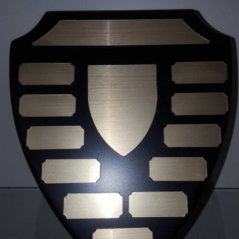Large Shield